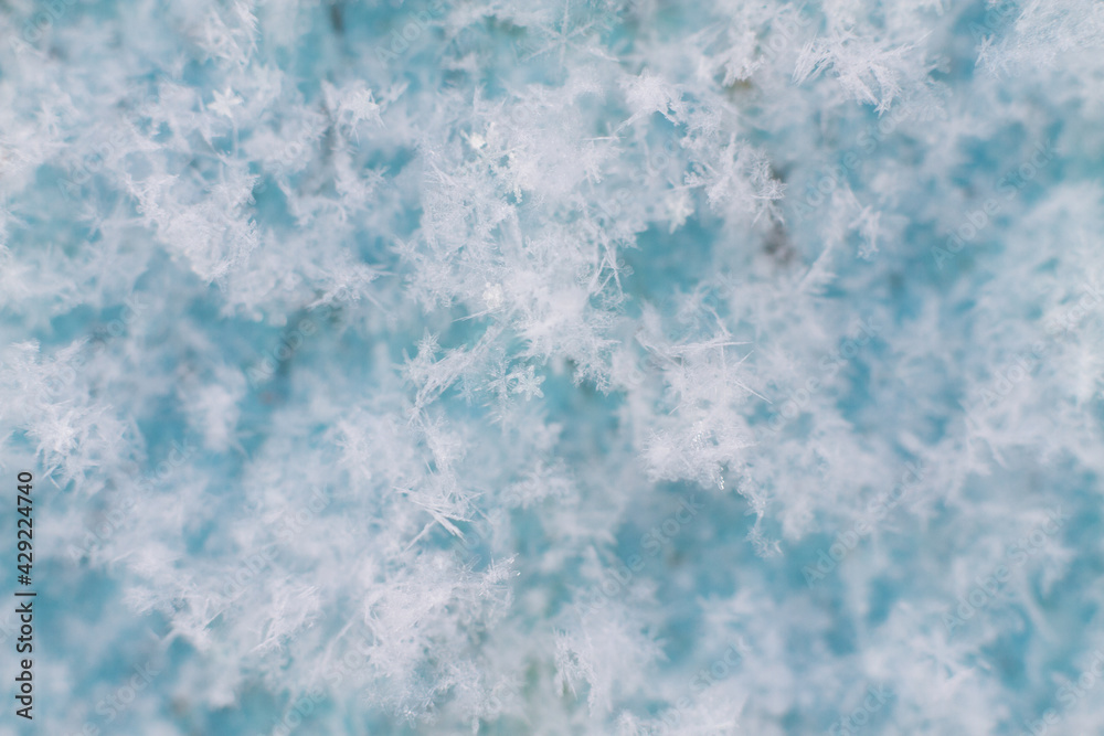 Beautiful snow macro of patterned snowflakes on a blue background