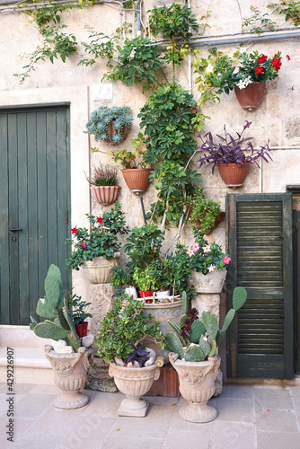 colorful plants in a courtyard