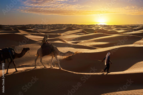 Caravan of camels in sand dunes of the Shara desert at sunset, South Tunisia © Delphotostock