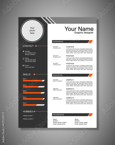 PROFESSIONAL RESUME, MODERN RESUME
