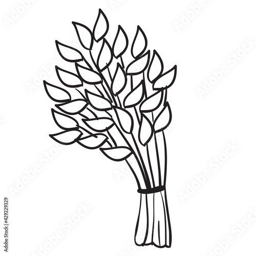 bath broom in a wooden basin, coloring book, cartoon illustration, isolated object on white background, vector,