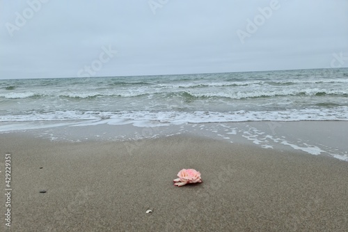 Meer