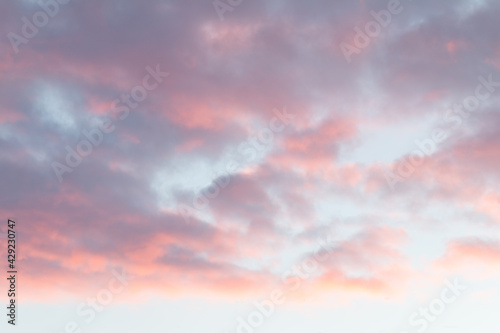 beautiful fluffy clouds, purple summer sunset 