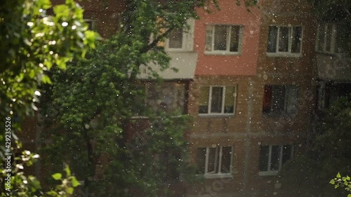 Wallpaper Mural It is raining on a blurred background. Summer rain. Raindrops. Torontodigital.ca