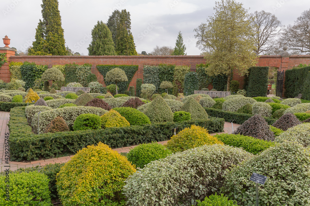 The topiary garden of shaped shrubs at rhs wisley