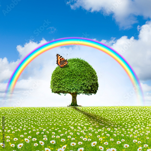 Baum in einer Blumenwiese mit Regenbogen