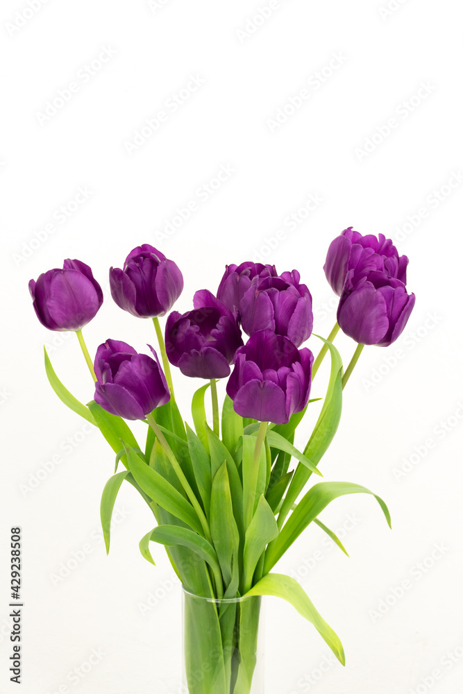 Bouquet of blossoming purple tulips with green leaves view from above on a light background Bouquet of blossoming purple tulips with green leaves view from above on a light background