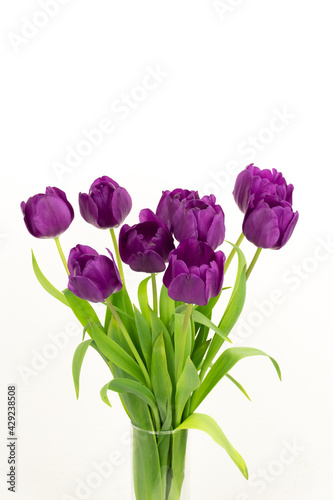 Bouquet of blossoming purple tulips with green leaves view from above on a light background