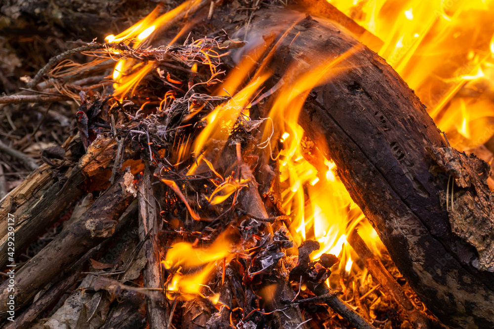 Bonfire close up view Bonfire close up view
