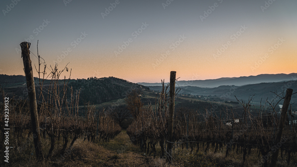 sunset in the mountains and wine yard