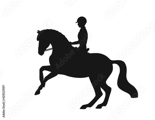 Silhouette of athlete riding a horse. The horse stands on hind legs