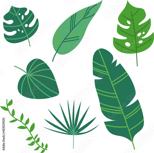 Cute cartoon tropical leaves set flat vector for children books  decoration. Hawaii beach party aloha decoration flyers  cards  banner.