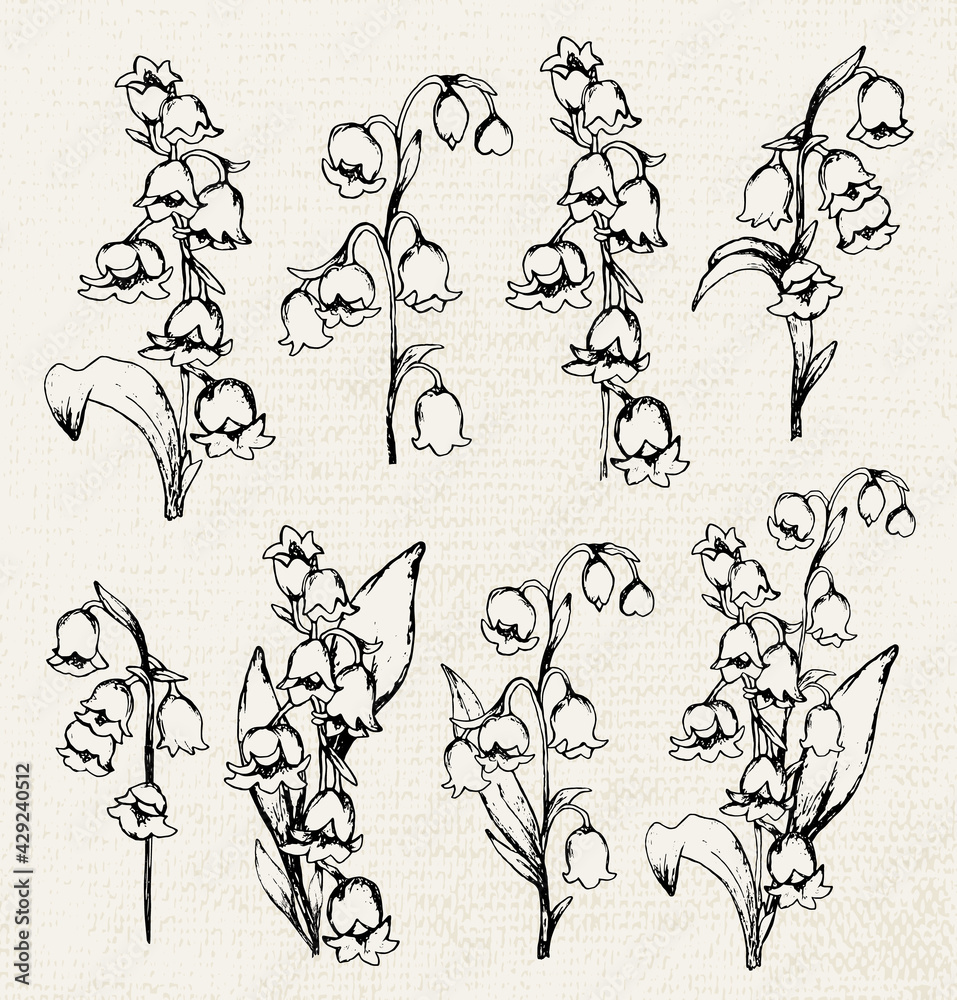 hand-drawn set with Lily of the valley flowers, primroses. realistic isolated flower bouquets. Botanical elements for decor, decor, presentation, Wallpaper. vintage style hand-drawn set with Lily of the valley flowers, primroses. realistic isolated flower bouquets. Botanical elements for decor, decor, presentation, Wallpaper. vintage style