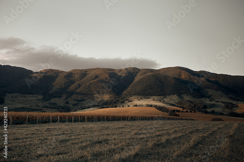 landscape with mountains