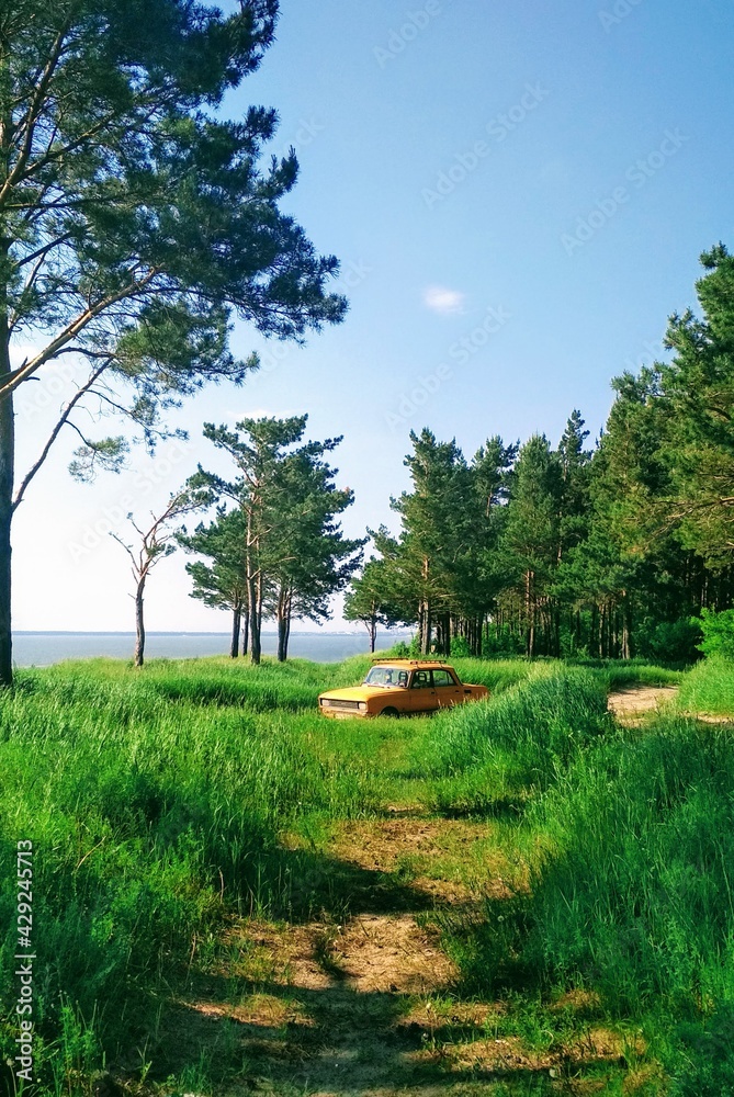 yellow retro car stands in a green summer forest yellow retro car stands in a green summer forest
