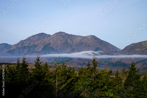 The sea of fog covering at mountain range on the top view with blue sky background with pine tree in foreground at Aokigahara ,Fujikawaguchiko ,Yamanashi in Japan.