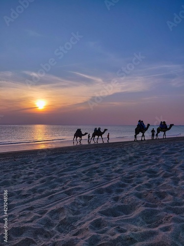 camel safari on the beach © Shruti