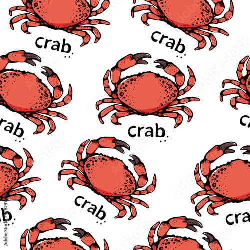 Crab vector seamless pattern, hand drawn seafood illustration