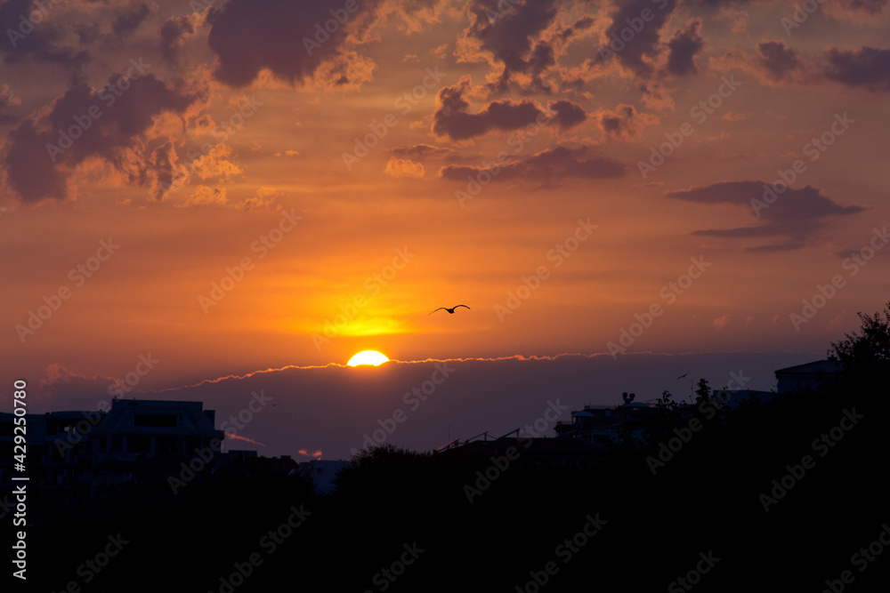 Sunset with the bird in front and sun almost hidden behind the clouds during summer in Sveti Vlas, Bulgaria Sunset with the bird in front and sun almost hidden behind the clouds during summer in Sveti Vlas, Bulgaria