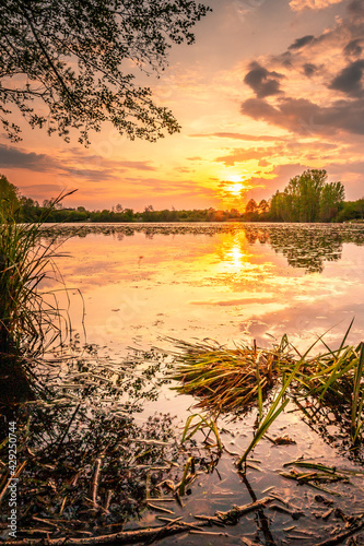 Sunset at the lake, a beautiful summer evening by the water with pale in the sun, reflection in the water, a natural landscape