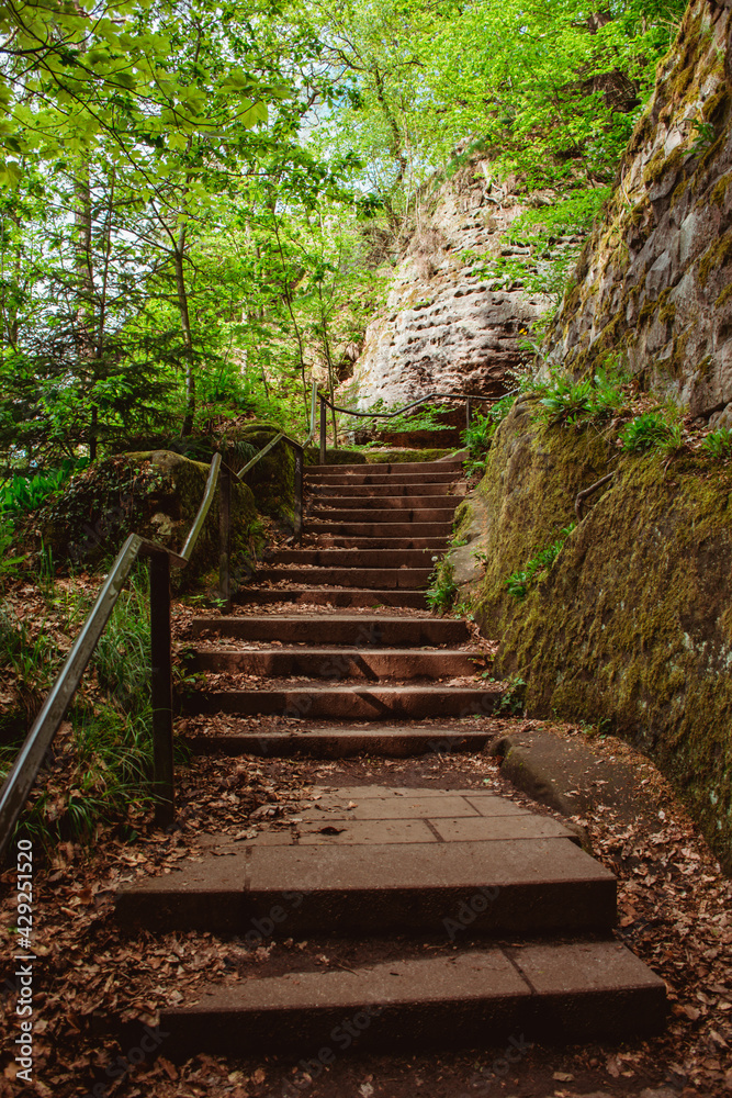 Trekking path in Bastei sandstone mountains leading to Bastei bridge. Forest with large old trees, shadowy landscapes of Saxon Switzerland Trekking path in Bastei sandstone mountains leading to Bastei bridge. Forest with large old trees, shadowy landscapes of Saxon Switzerland