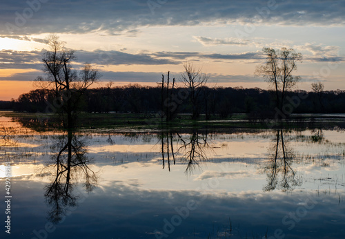 643-23 Sunrise Reflections  Portage River Wetlands