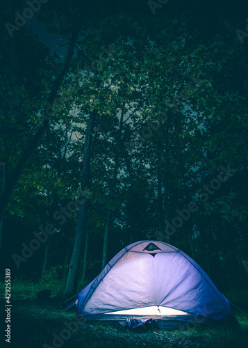 Glowing tent in greenwood at night