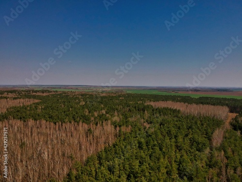 Aerial view of countryside in Belarus
