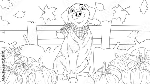 Vector graphics, funny dog with a scarf around his neck guards a vegetable garden with pumpkins