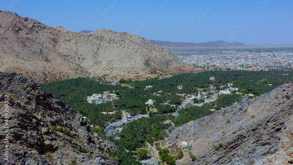 Aerial view of palm fields surrounded by Al Hajar Mountains in Oman