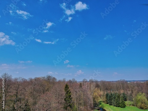 landscape with trees