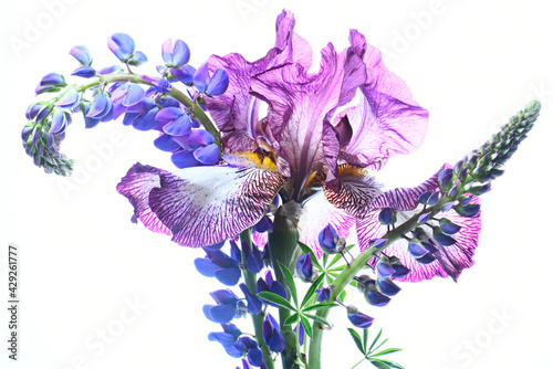 Tablou pe pânză Bouquet with irises on a white background, isolated.