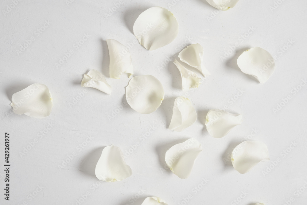 White rose petals on grey background top view White rose petals on grey background top view