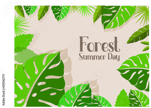 Tropical Forest Background Free Vector