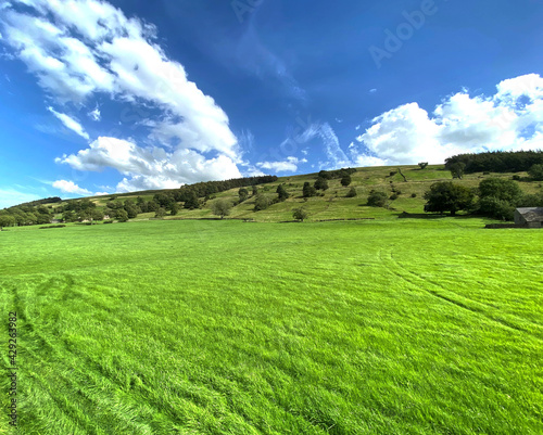 Extensive meadowland, with hills, and trees, in the far distance in, Bishopdale, Leyburn, UK photo