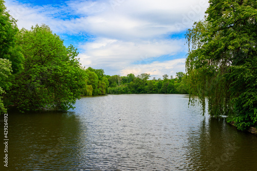 View of a beautiful lake in a green forest