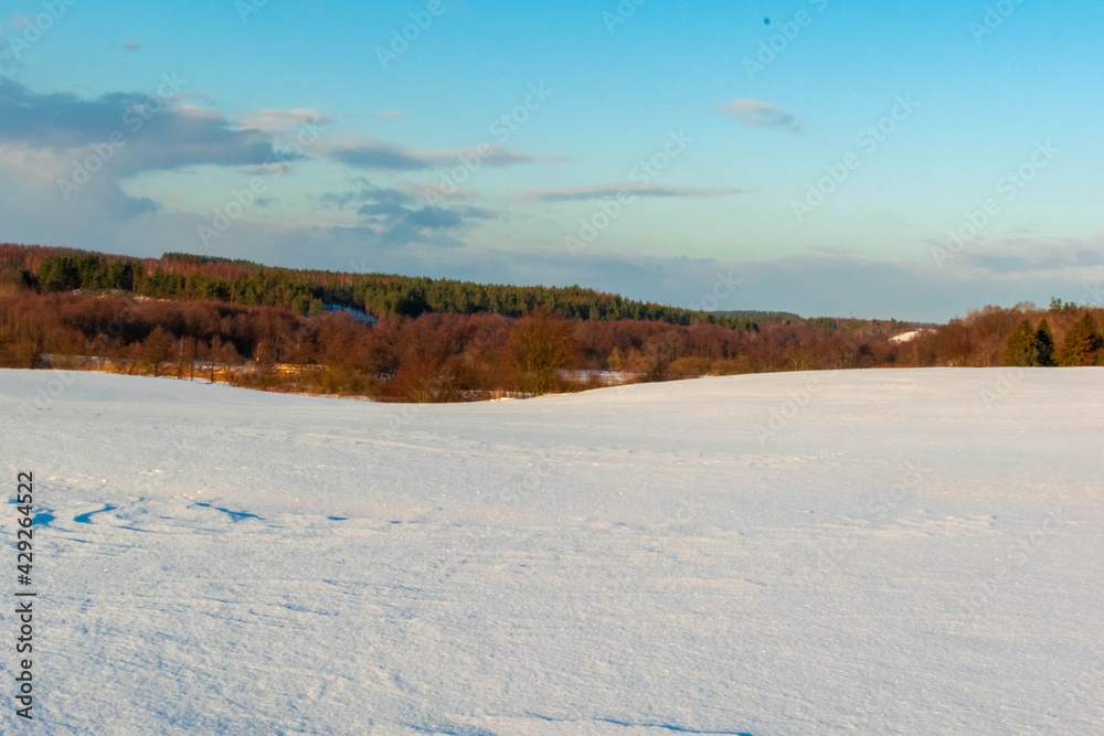 winter landscape with snow