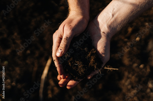 Hands holding soil photo