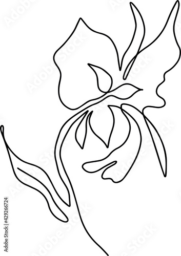 Single line vector illustration of flower. Mono line. One line.