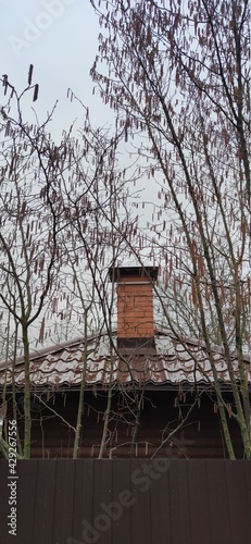 Brick chimney chimney in tree branches in spring © marcinovskaja