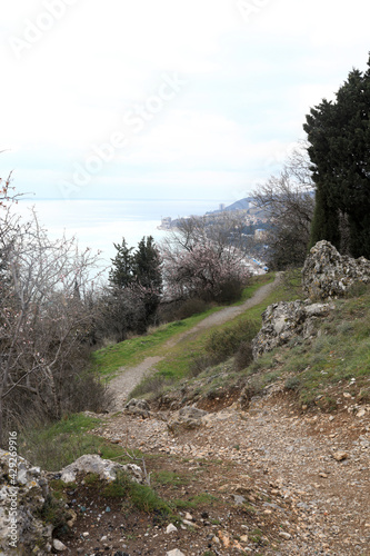 View of hiking trail to Mount Bolgatura photo