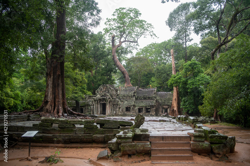       Prohm is the largest temple  it rains in the rainy season.  Restorers spared banyan trees with their aerial roots. The preserved symbiosis of stone and wood allows us to see Ta Prohm in this form.