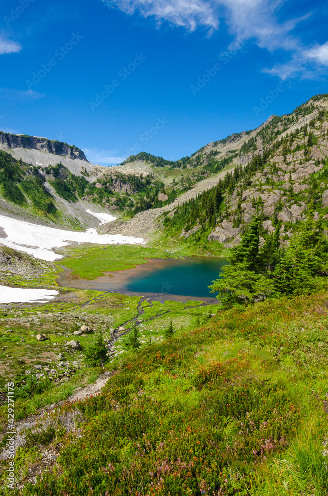 Fragment of Mount Baker trail in, Washington, USA