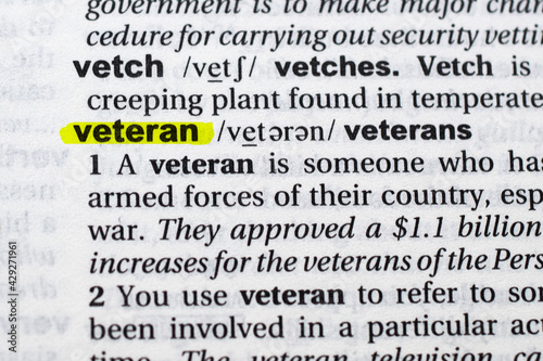 Highlighted word veteran concept and meaning
