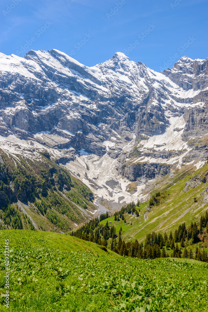 Obraz premium The Swiss Alps at Murren, Switzerland. Jungfrau Region. The valley of Lauterbrunnen from Interlaken.