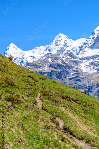 The Swiss Alps at Murren, Switzerland. Jungfrau Region. The valley of Lauterbrunnen from Interlaken.