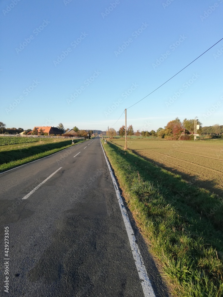 Fototapeta premium dav