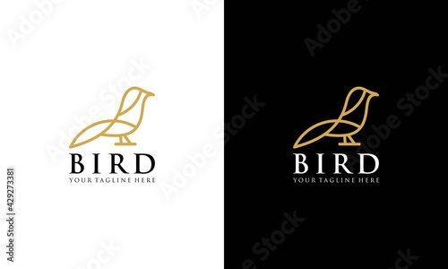 bird line vector logo design 