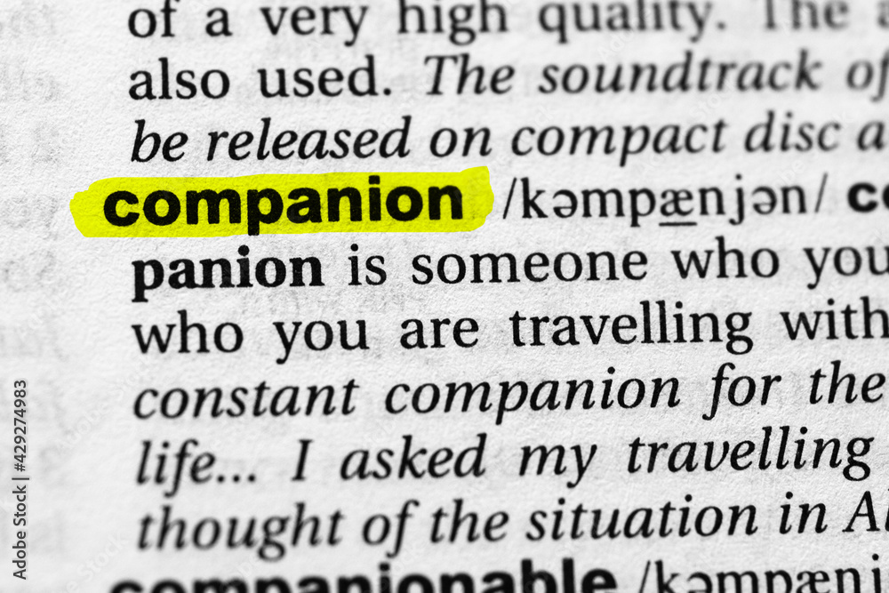 Highlighted word companion concept and meaning Highlighted word companion concept and meaning