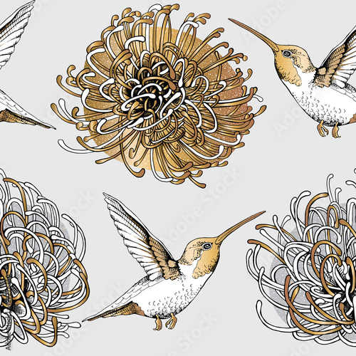 Seamless pattern. Exotic african Protea flowers and hummingbirds. Gold and silver composition. Textile, hand drawn style print. Vector illustration.